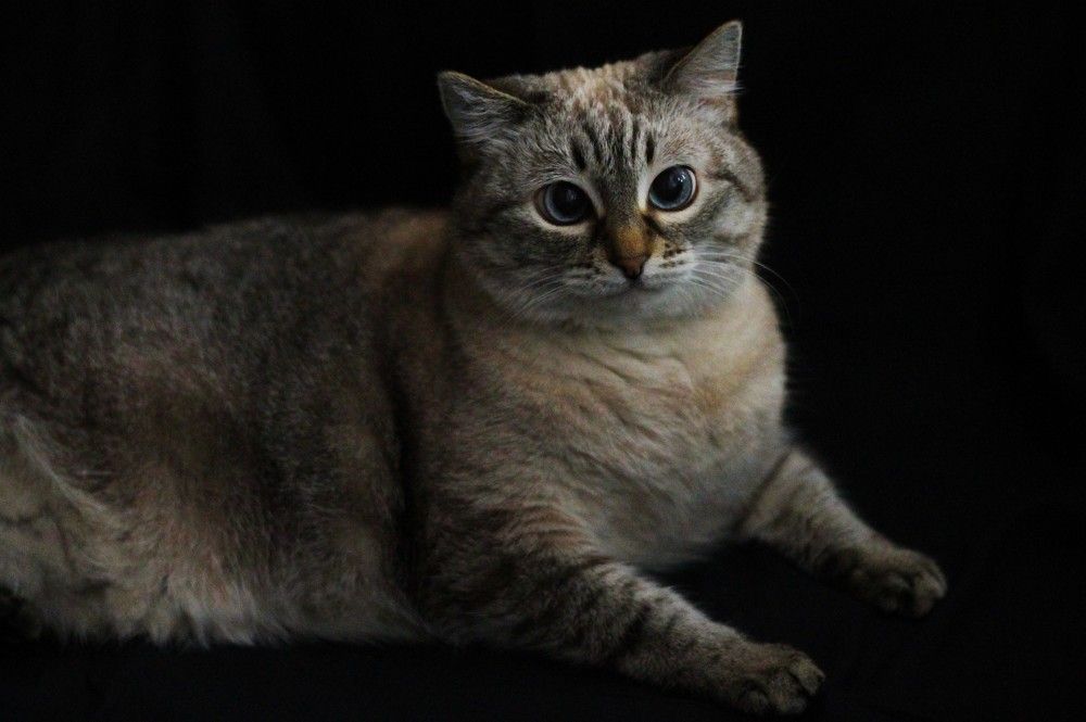 Photograph by Любовь Иванова