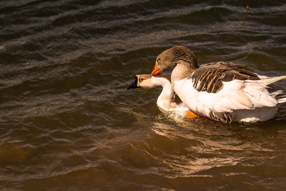 Photograph by Artur Tsvaygenbaum