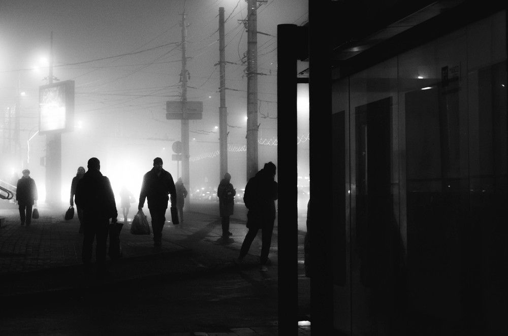 Photograph by Анна Торопова