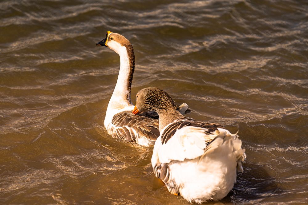 Photograph by Artur Tsvaygenbaum