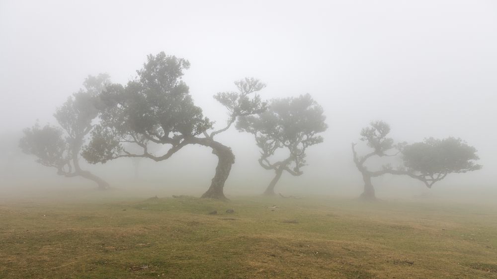 Photograph by Jiří Hakauf