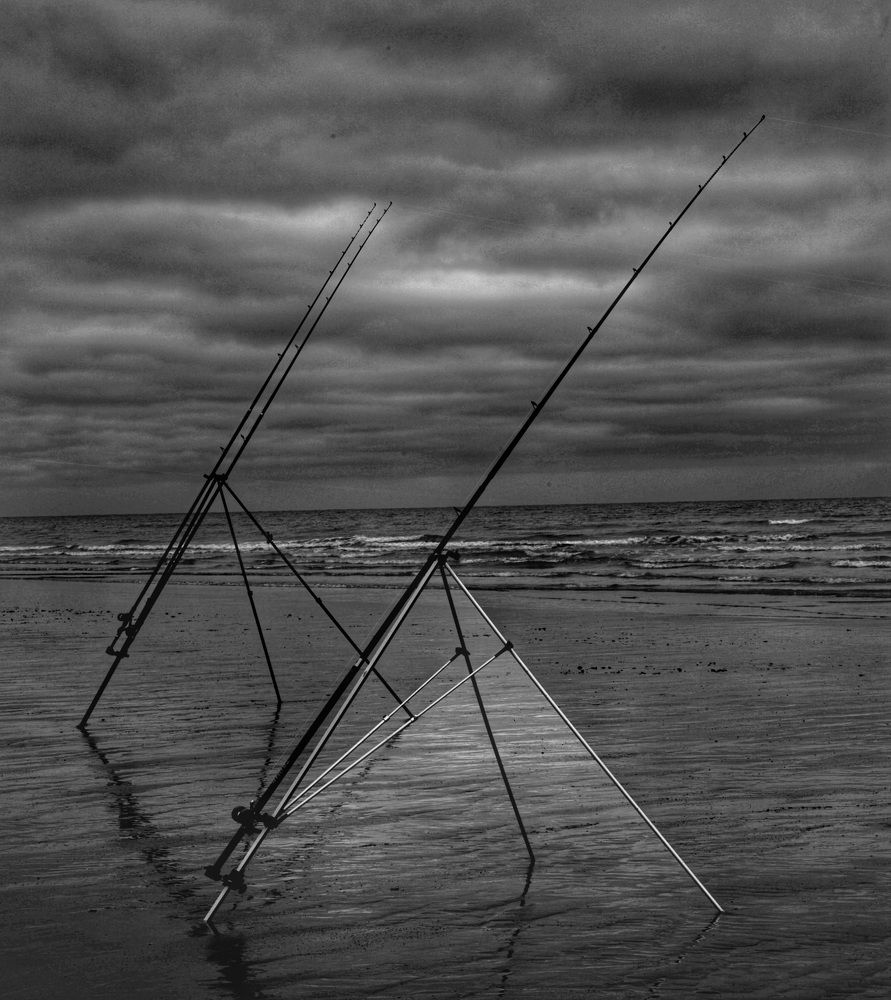 Photograph by Peter Hayes