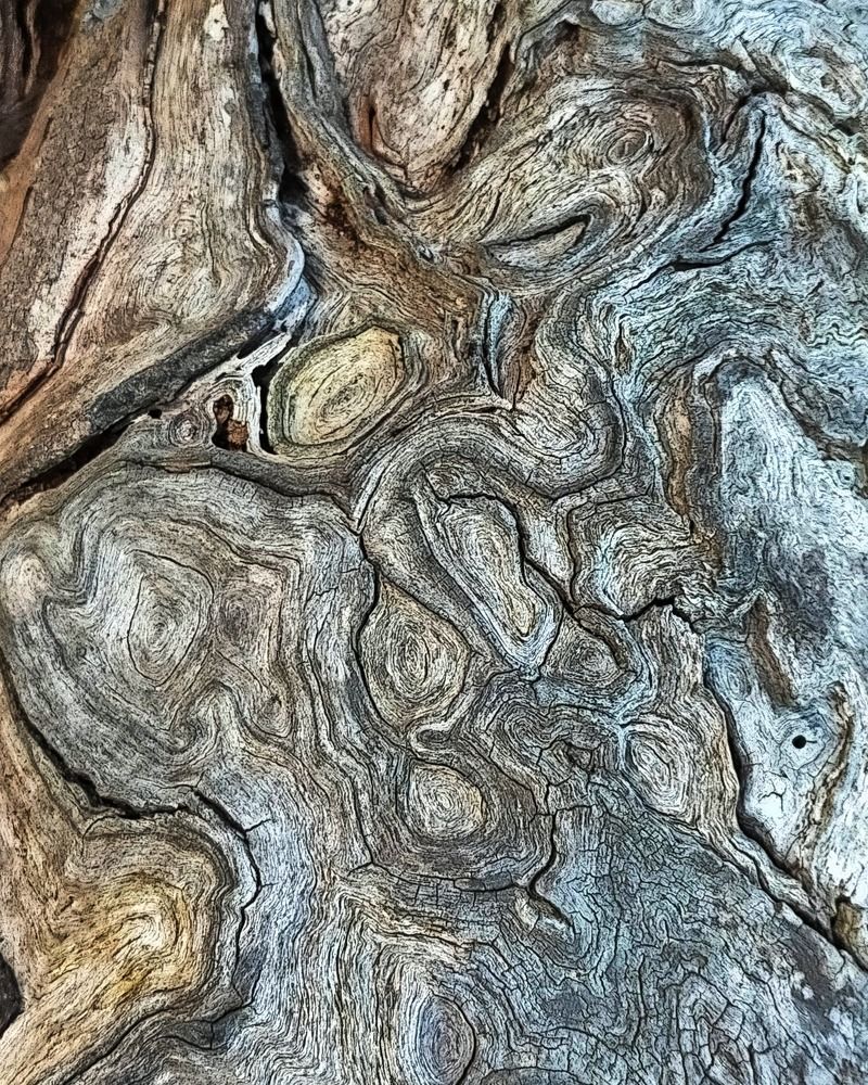 Photograph by Kirsteen Isles