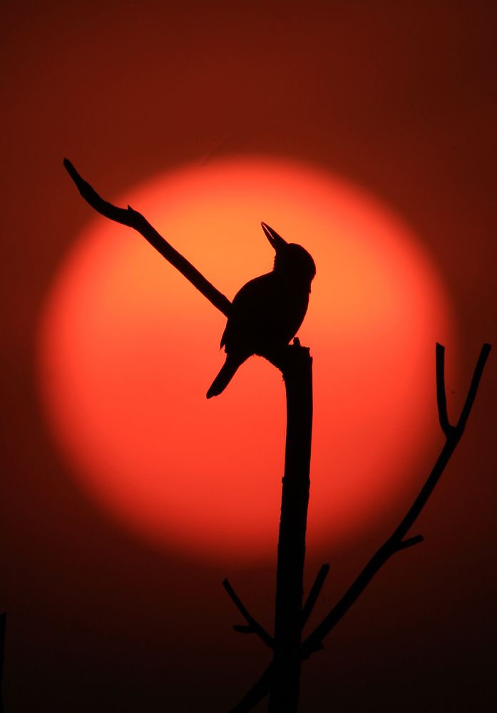 Photograph by Vikram Bahal