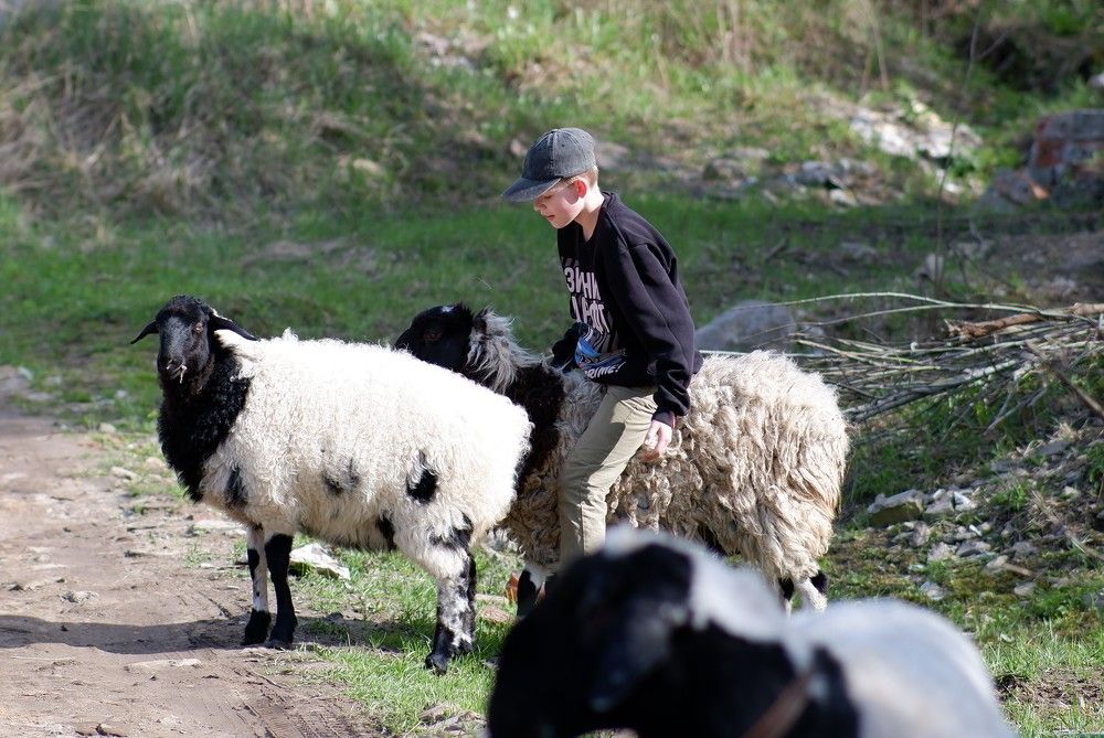 Photograph by Алексей Миронов