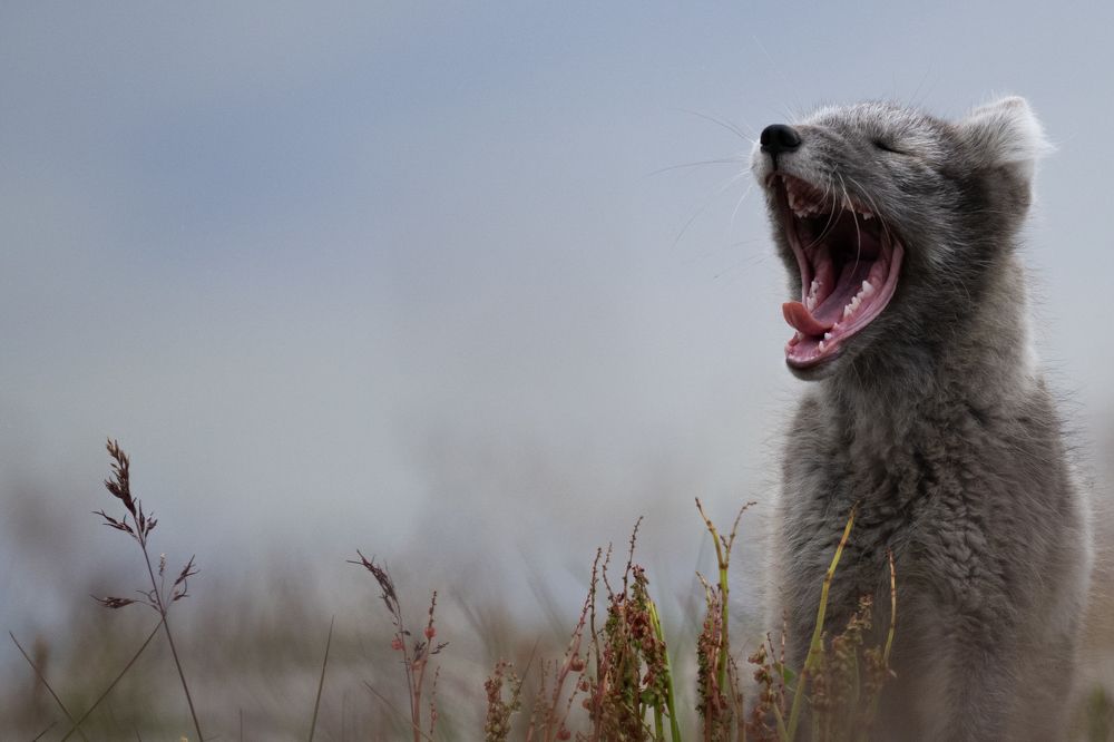 Photograph by Астапкович Владимир