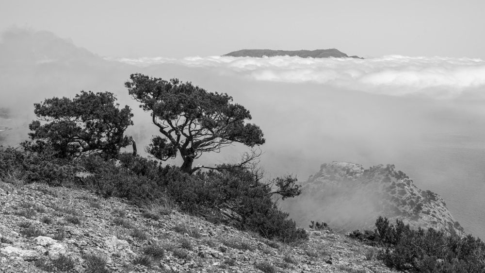 Photograph by Виктор Филипчук