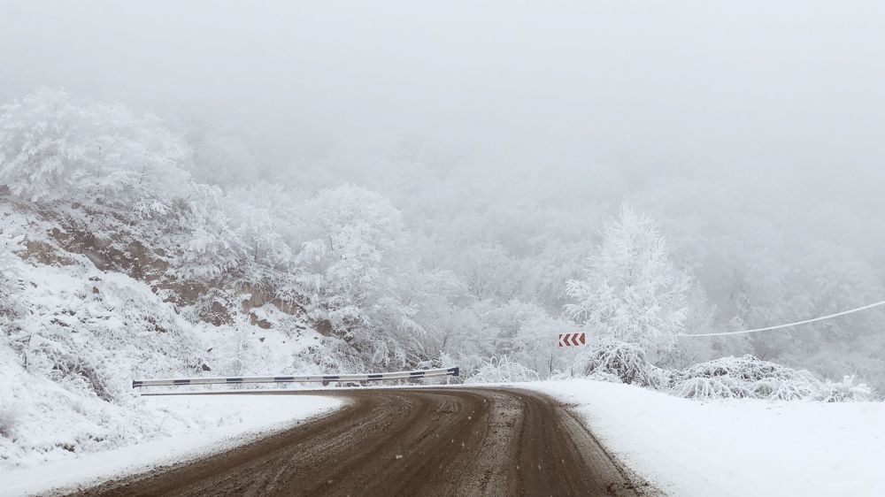 Photograph by Alex Belov