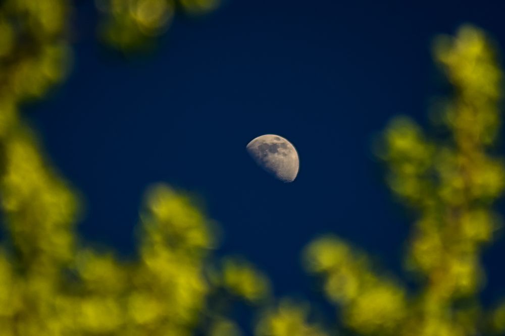 Photograph by Сергей Дишук