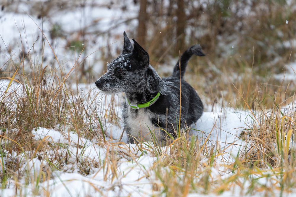 Photograph by Илья Сторожко