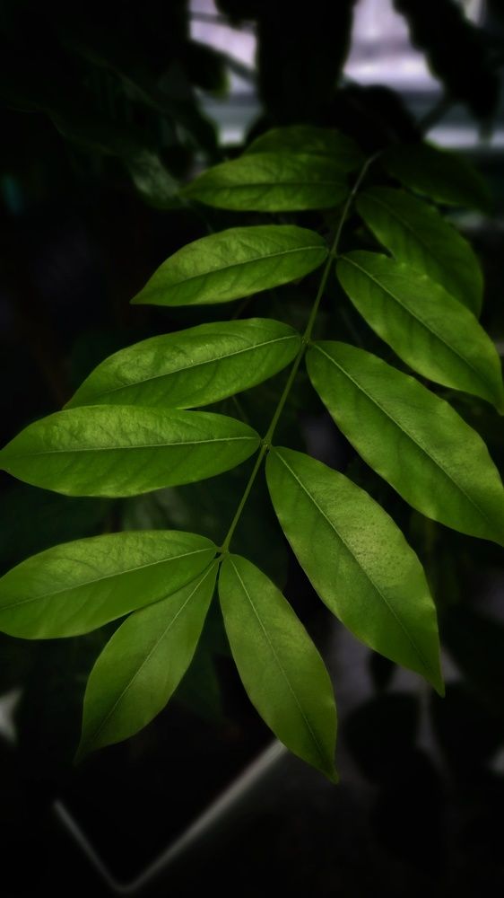 Фотография автора Евгения Зайцева