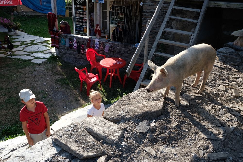 Фотография автора Alex Belov