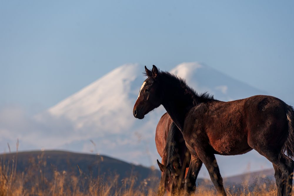 Фотография автора Фурман Алексей