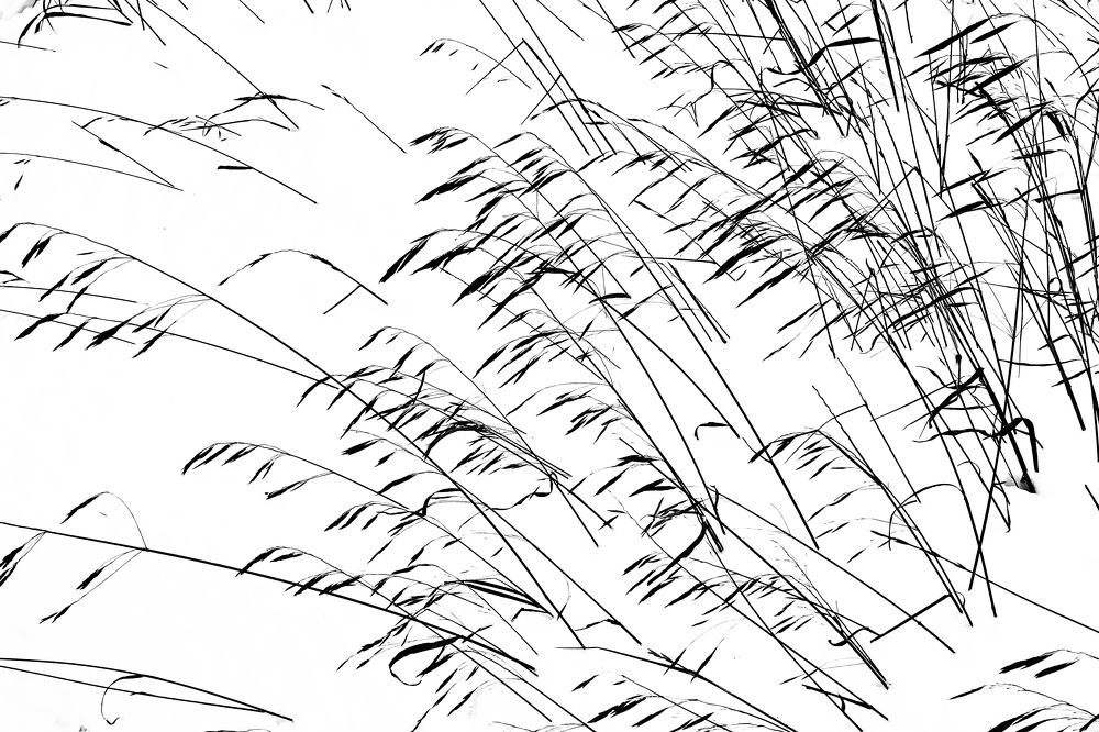 Photograph by Екатерина Лянгасова