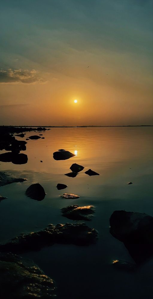 Photo #10366375