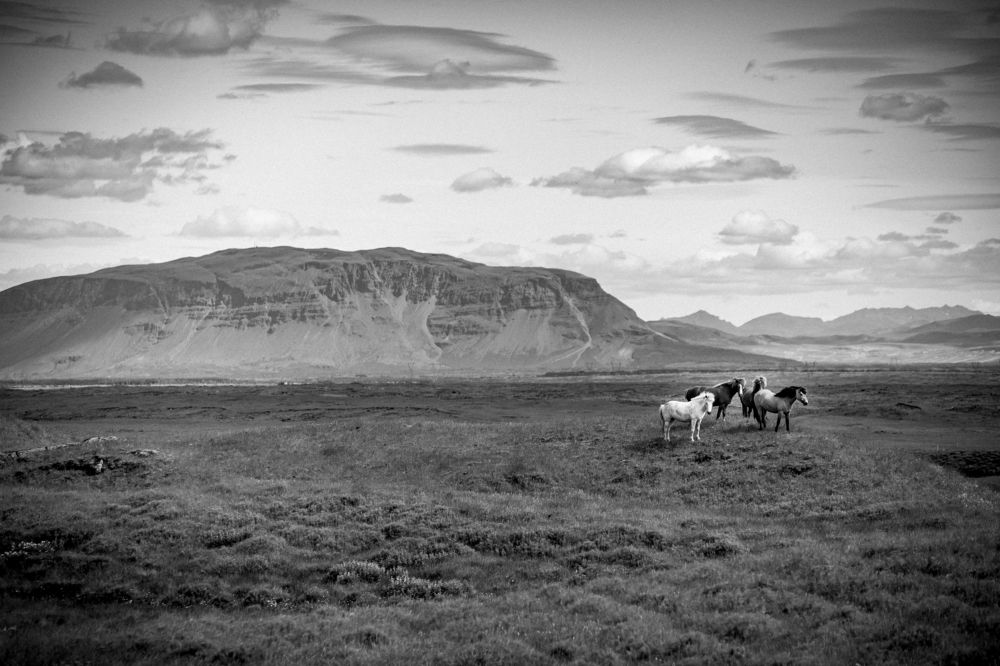 Photograph by Kaspars Teilans