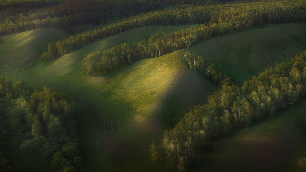 Photograph by Мария Камендова