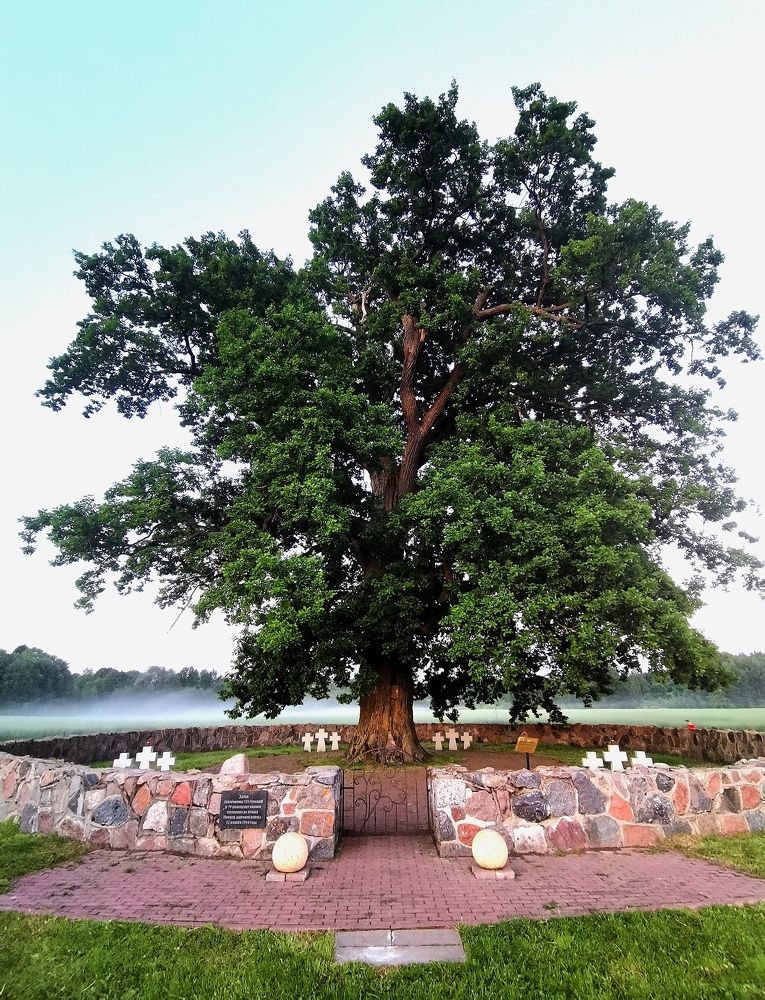 Photograph by Елизавета Лай