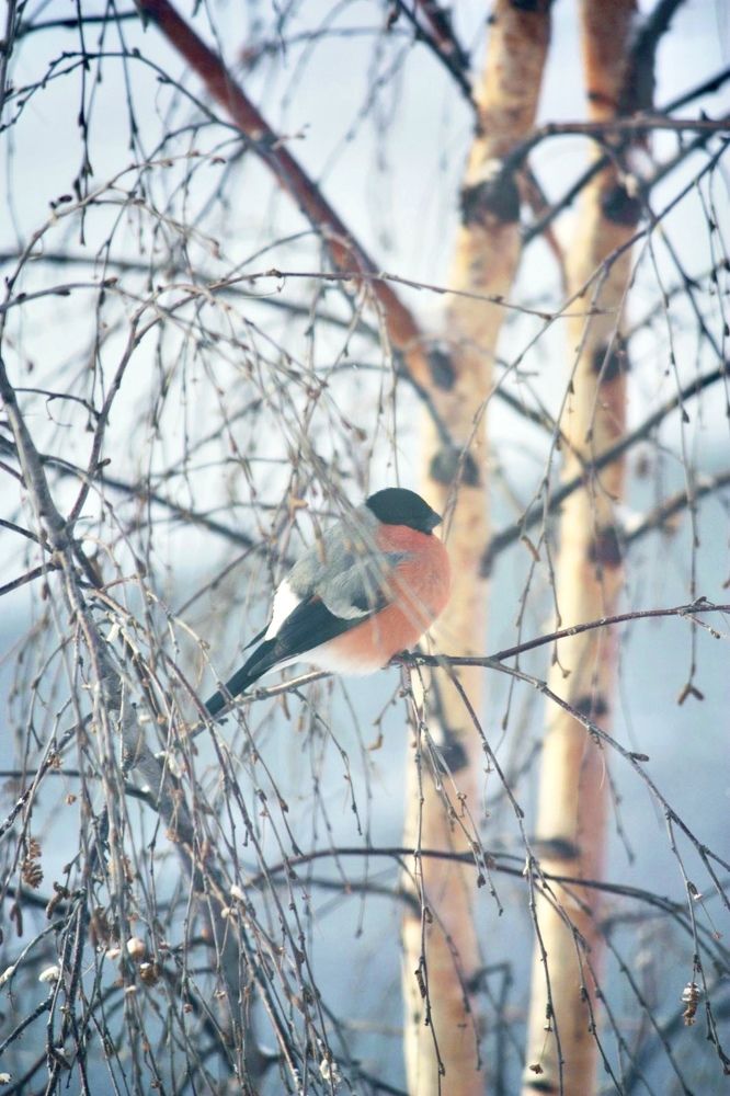 Photograph by Татьяна