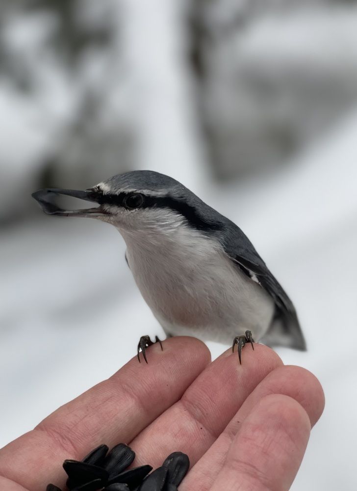 Photograph by Привалов Андрей