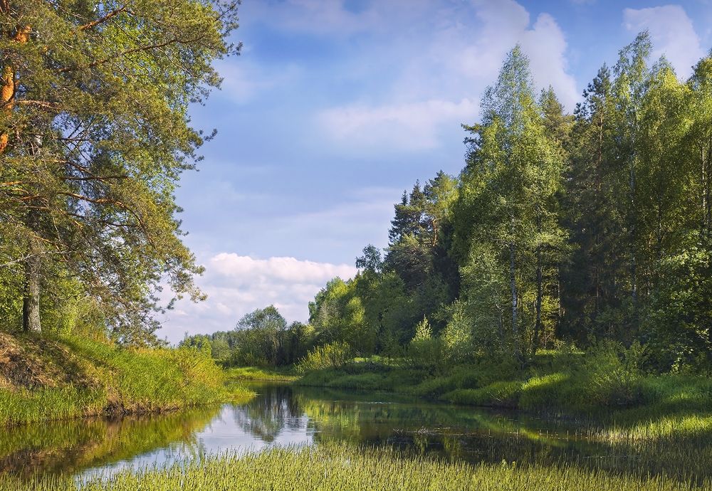 На реке Вязьма