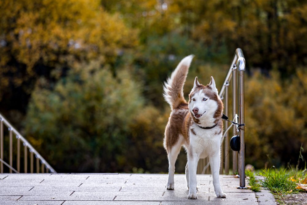 Photograph by Алексей Еремеев