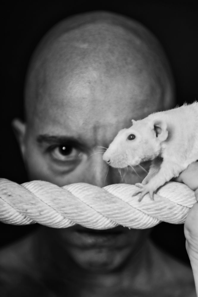 Photograph by ALEX DRAW