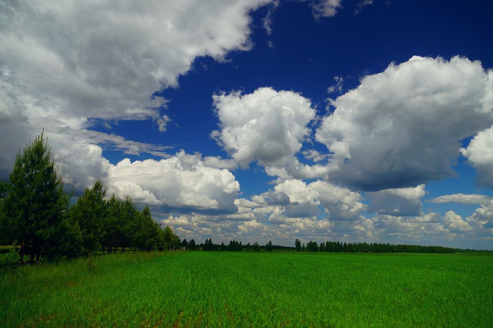 Photograph by Михаил Корнев