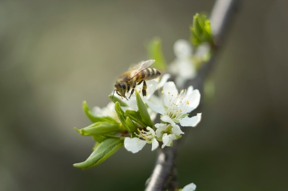 Photograph by Екатерина Мезенова