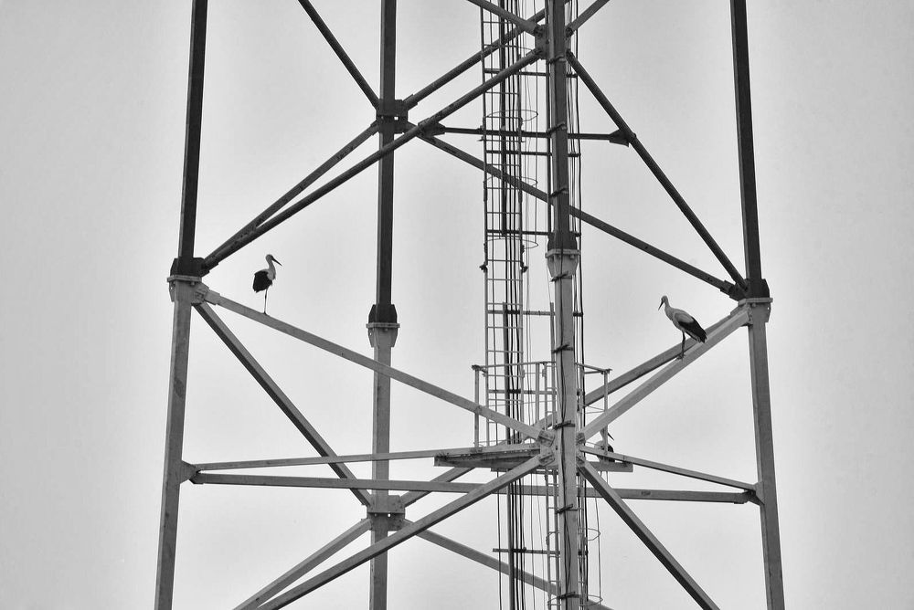 Photograph by Юлия Абрамова