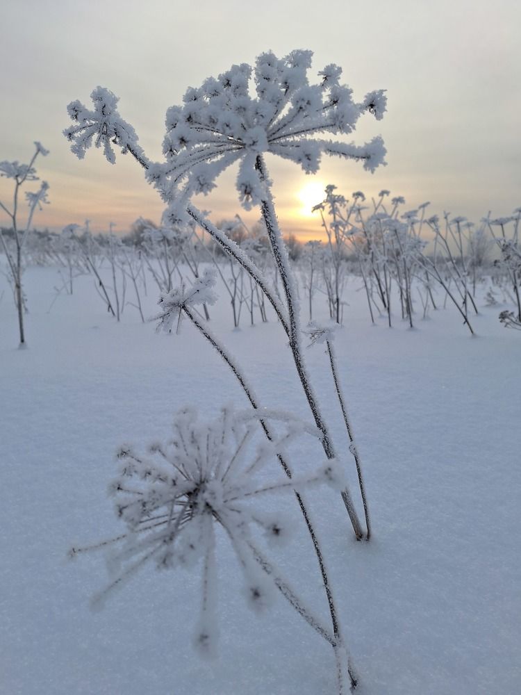 Photograph by Наталья Абилова