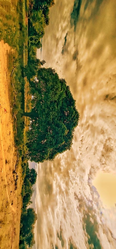 Nature