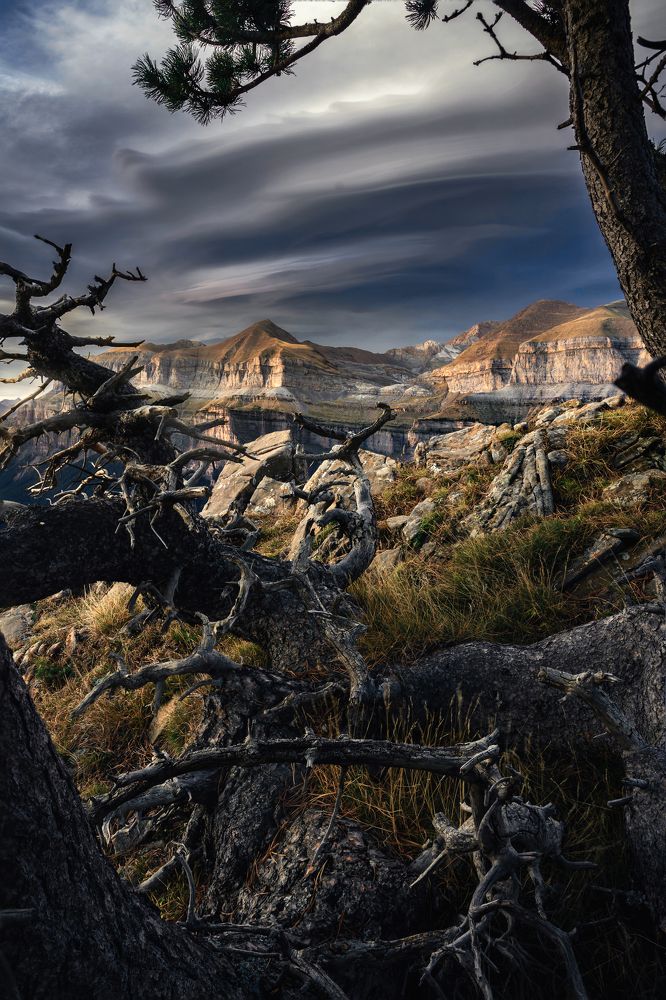 Photograph by Crusat Francisco