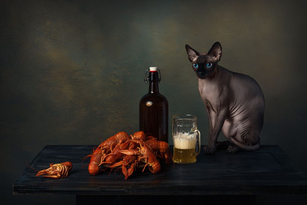 Photograph by Ольга Савельева