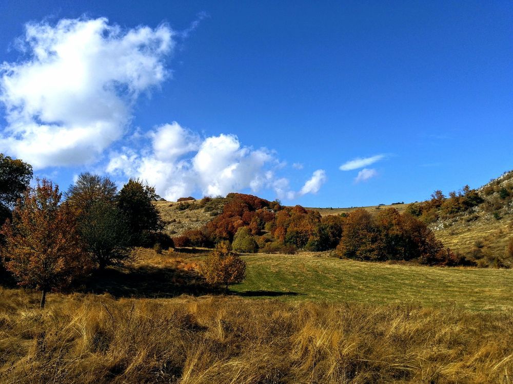 Фотография автора Liliya Slavcheva