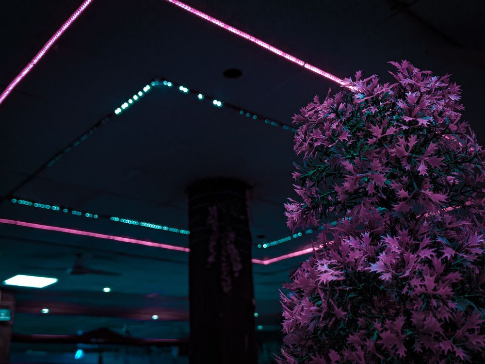 Фотография автора Asad Ali