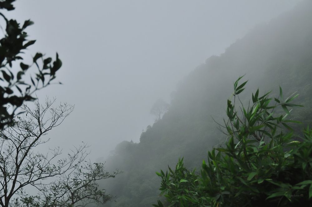 Фотография автора Lưu Loan