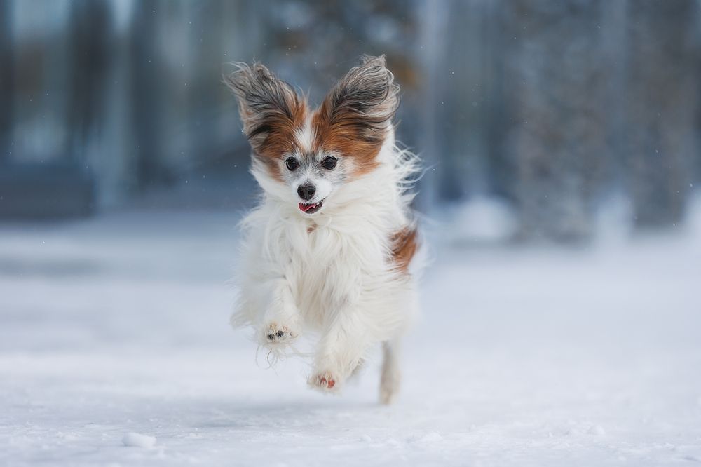 Photograph by Шитиков Владимир