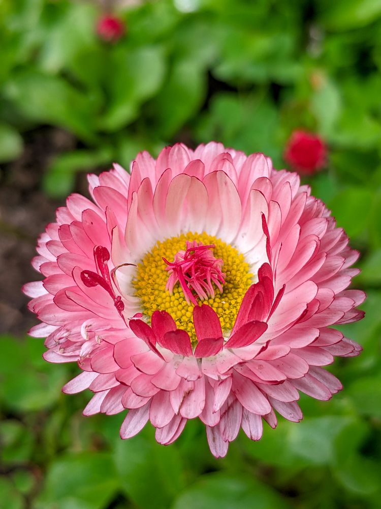 Photograph by Lev Kaufman