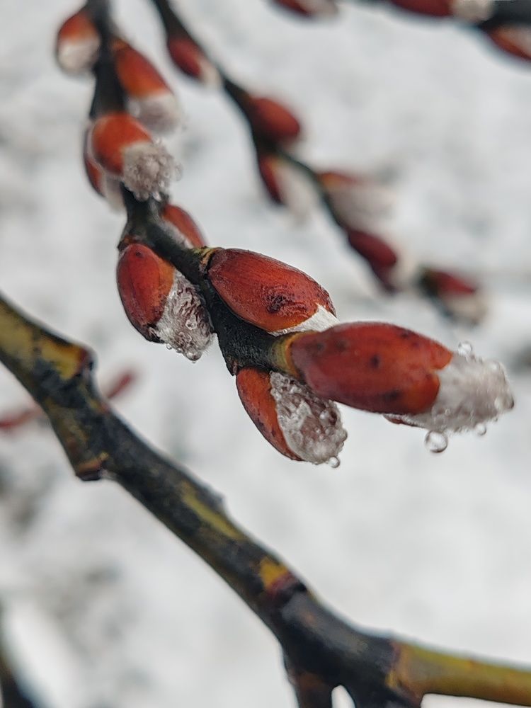 Photograph by Ольга Вергейчик