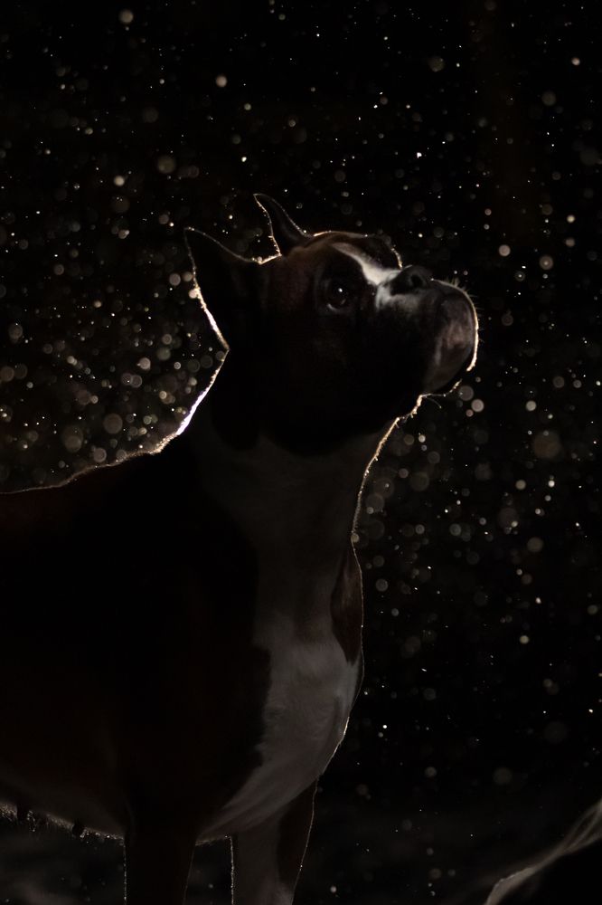 Photograph by Петракова Ольга