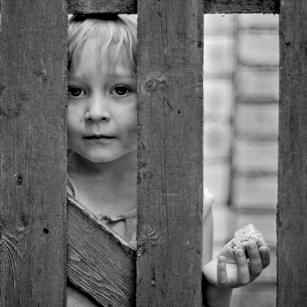 Photograph by Andrii Smirnov