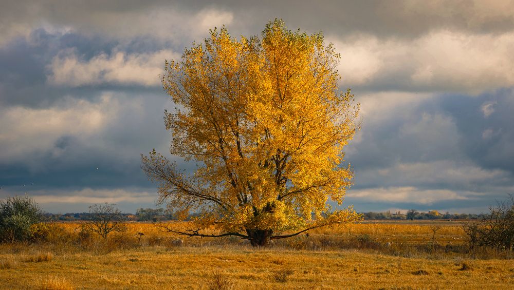 Photograph by Eva Wiedemann