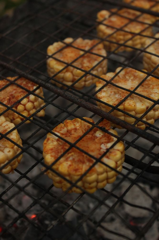 Photograph by Алина Новикова