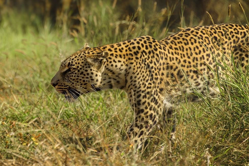 Photograph by Tanja Wolfaardt