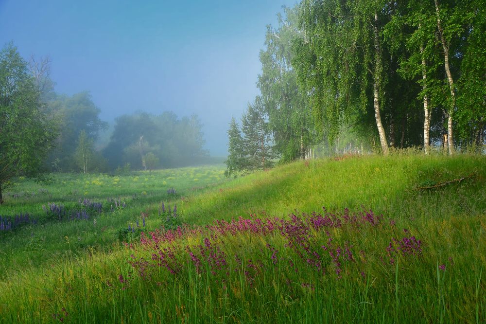 Photograph by Юлия Абрамова