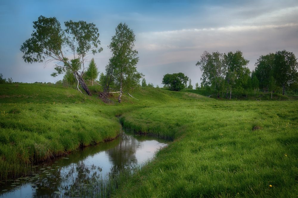 Photograph by Сергей Аникин