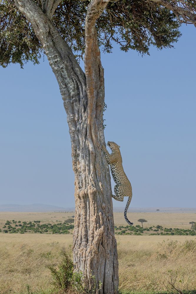 Photograph by Vinod Chandrasekharn Lalitha