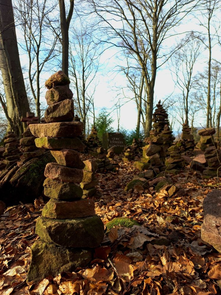 Фотография автора Валерия Правдюк