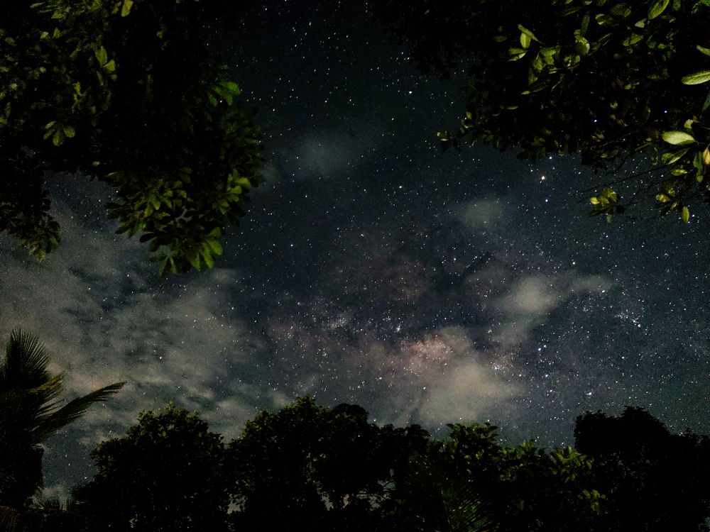 Photograph by Balu